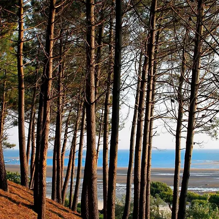 Duplex T5 Avec Terrasse Panoramique à 150m De La - - Fr-1-420-130 Arcachon