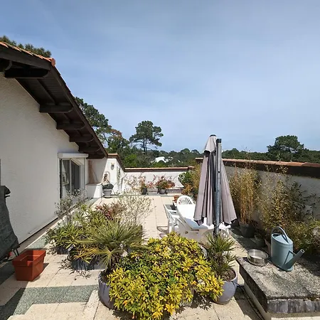 Duplex T5 Avec Terrasse Panoramique A 150m De La -